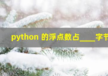 python 的浮点数占____字节